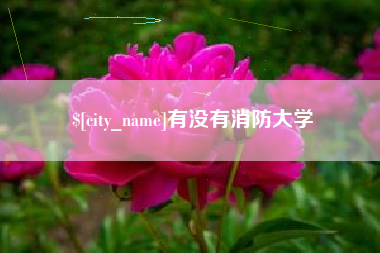 博尔塔拉蒙古有没有消防大学