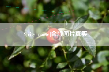 博尔塔拉蒙古金牌图片真实