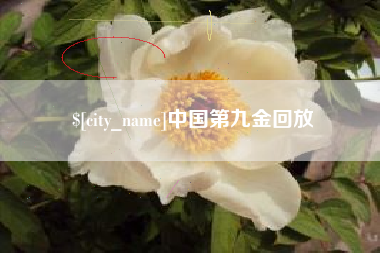 博尔塔拉蒙古中国第九金回放
