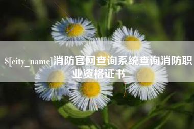 博尔塔拉蒙古消防官网查询系统查询消防职业资格证书