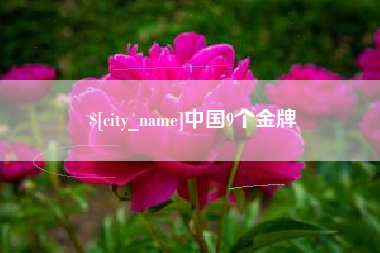 博尔塔拉蒙古中国9个金牌