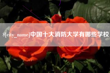 博尔塔拉蒙古中国十大消防大学有哪些学校