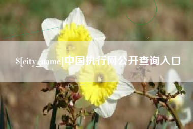博尔塔拉蒙古中国执行网公开查询入口