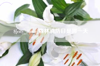 博尔塔拉蒙古森林消防日是哪一天