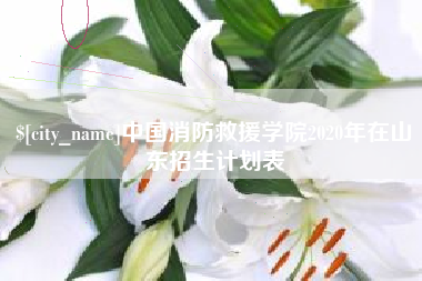 博尔塔拉蒙古中国消防救援学院2020年在山东招生计划表