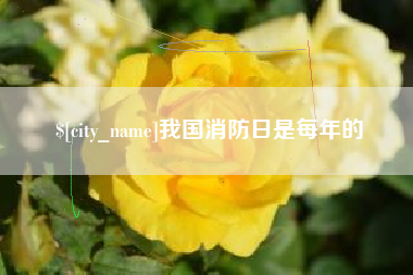 博尔塔拉蒙古我国消防日是每年的