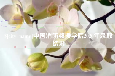 博尔塔拉蒙古中国消防救援学院2020年录取结果