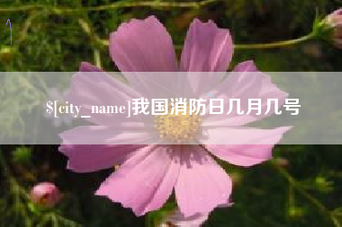 博尔塔拉蒙古我国消防日几月几号