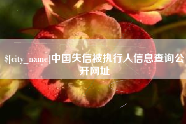 博尔塔拉蒙古中国失信被执行人信息查询公开网址