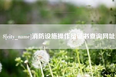 博尔塔拉蒙古消防设施操作员证书查询网址