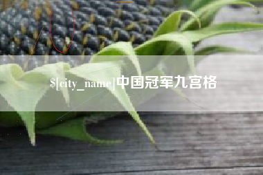博尔塔拉蒙古中国冠军九宫格