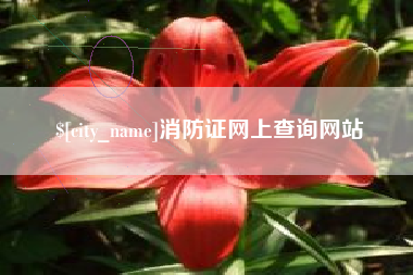 博尔塔拉蒙古消防证网上查询网站