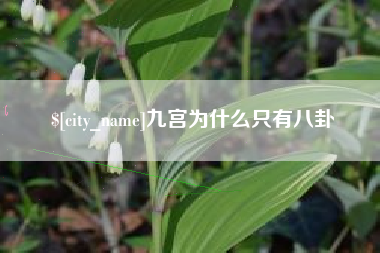 博尔塔拉蒙古九宫为什么只有八卦