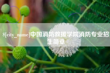 博尔塔拉蒙古中国消防救援学院消防专业招生简章