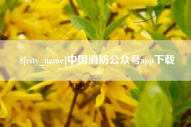 博尔塔拉蒙古中国消防公众号app下载