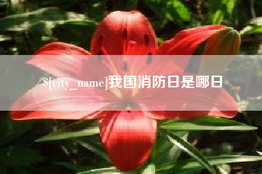 博尔塔拉蒙古我国消防日是哪日