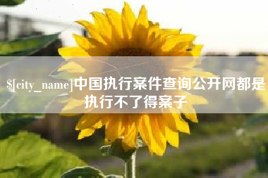 博尔塔拉蒙古中国执行案件查询公开网都是执行不了得案子