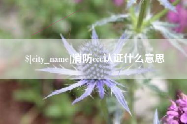 博尔塔拉蒙古消防ccc认证什么意思