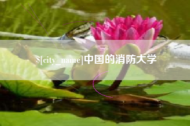 博尔塔拉蒙古中国的消防大学