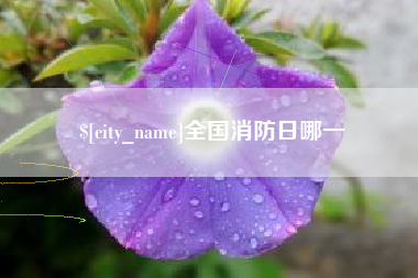 博尔塔拉蒙古全国消防日哪一