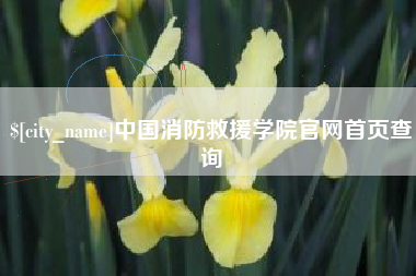 博尔塔拉蒙古中国消防救援学院官网首页查询