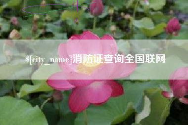 博尔塔拉蒙古消防证查询全国联网