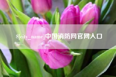 博尔塔拉蒙古中国消防网官网入口