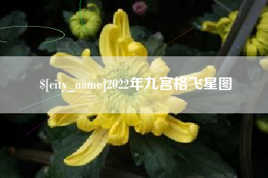 博尔塔拉蒙古2022年九宫格飞星图