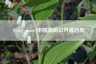博尔塔拉蒙古中国消防公开课回放