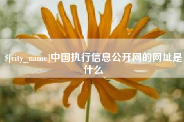 博尔塔拉蒙古中国执行信息公开网的网址是什么