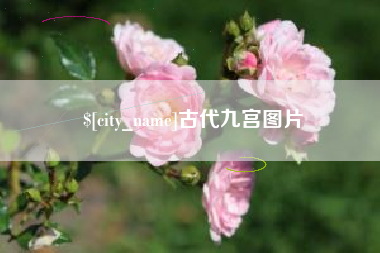 博尔塔拉蒙古古代九宫图片