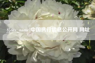 博尔塔拉蒙古中国执行信息公开网 网址