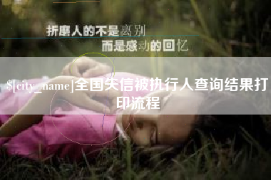 博尔塔拉蒙古全国失信被执行人查询结果打印流程
