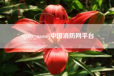 博尔塔拉蒙古中国消防网平台