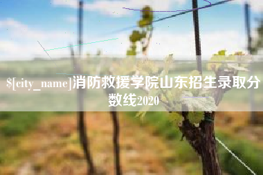 博尔塔拉蒙古消防救援学院山东招生录取分数线2020