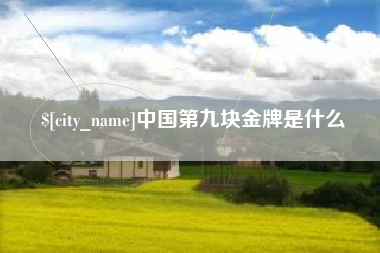 博尔塔拉蒙古中国第九块金牌是什么