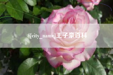 博尔塔拉蒙古王子豪百科
