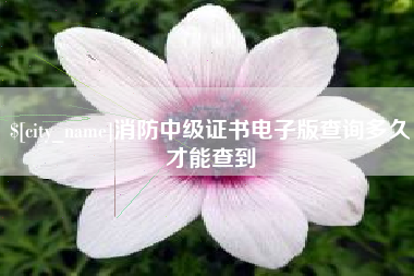 博尔塔拉蒙古消防中级证书电子版查询多久才能查到