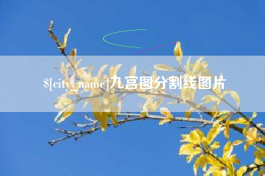 博尔塔拉蒙古九宫图分割线图片