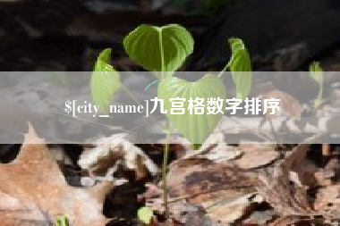 博尔塔拉蒙古九宫格数字排序