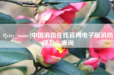 博尔塔拉蒙古中国消防在线官网电子版消防证怎么查询