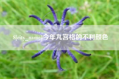 博尔塔拉蒙古今年九宫格的不利颜色