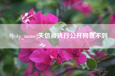 博尔塔拉蒙古失信被执行公开网查不到