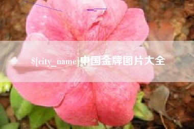 博尔塔拉蒙古中国金牌图片大全