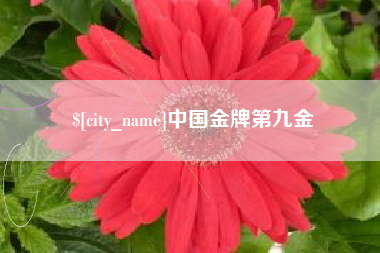 博尔塔拉蒙古中国金牌第九金