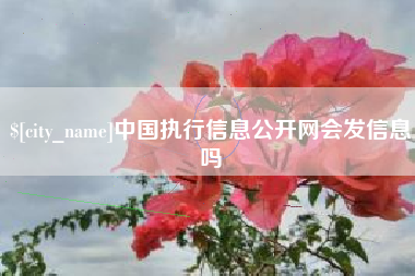 博尔塔拉蒙古中国执行信息公开网会发信息吗