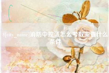 博尔塔拉蒙古消防中控证怎么考取需要什么条件