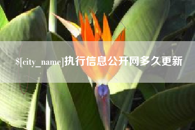 博尔塔拉蒙古执行信息公开网多久更新