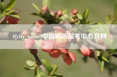博尔塔拉蒙古中国消防报考中心官网