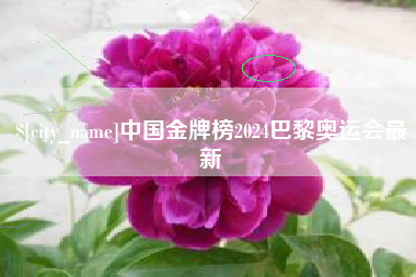 博尔塔拉蒙古中国金牌榜2024巴黎奥运会最新